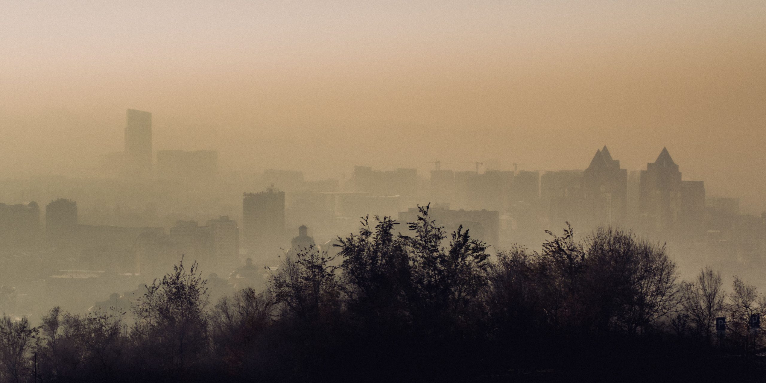 Smog a zdrowie: ile naprawdę kosztuje nas zanieczyszczone powietrze
